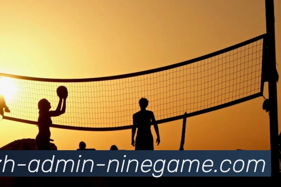 App Interface Preview