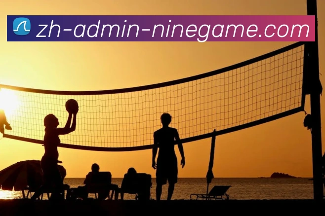 J9九游APP 封面图